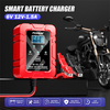 12 volt smart battery charger