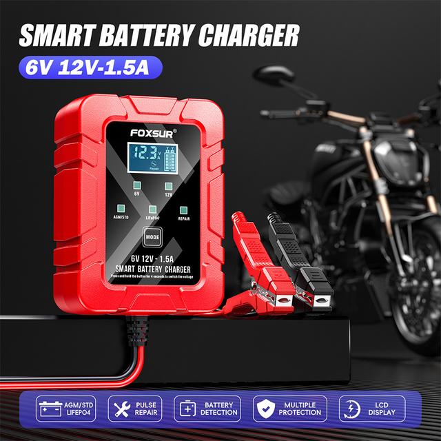 12 volt smart battery charger