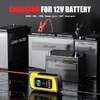 12v battery smart charger